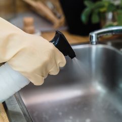 Disinfectants / Cleaning
